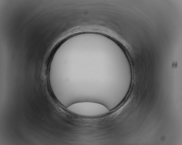 X0000103911498200809191106