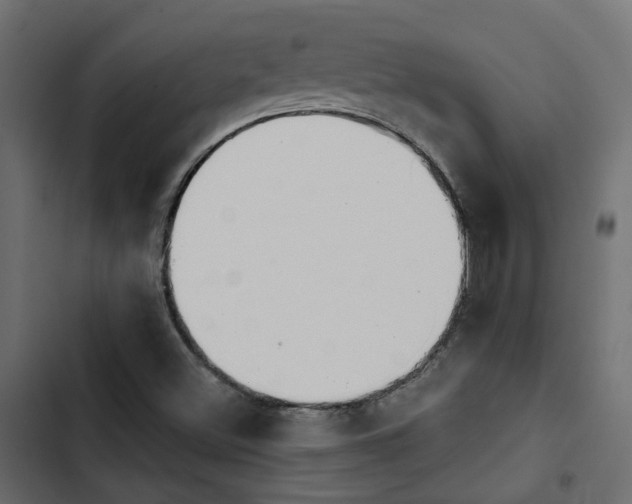 X0000103911500200809191106