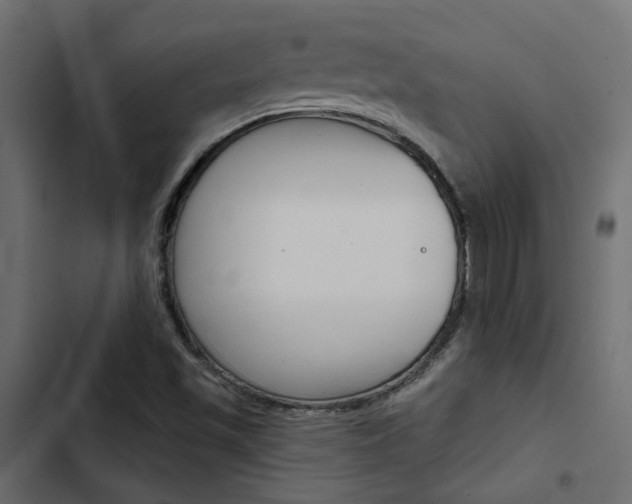 X0000103911501200809191106