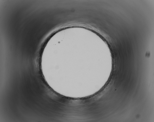 X0000103911502200809191106