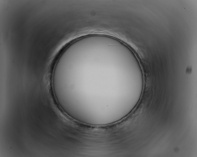 X0000103911503200809191106
