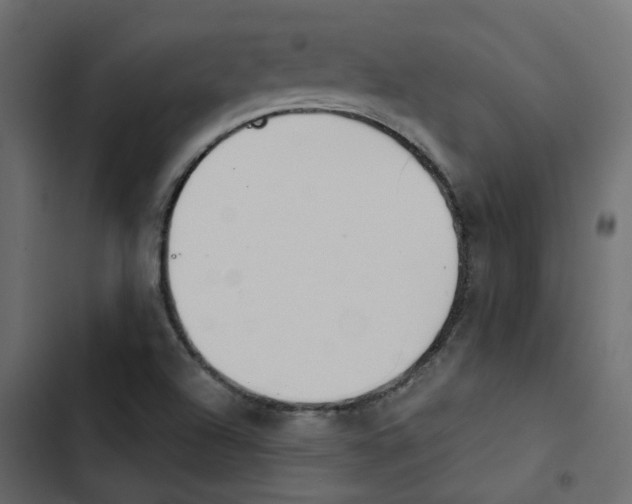 X0000103911504200809191106
