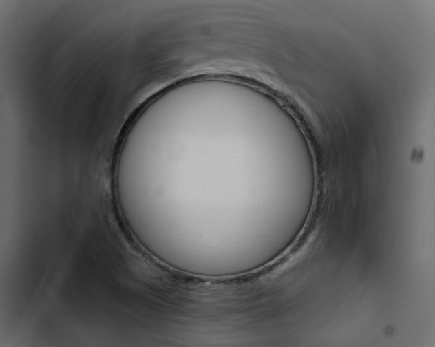 X0000103911505200809191106