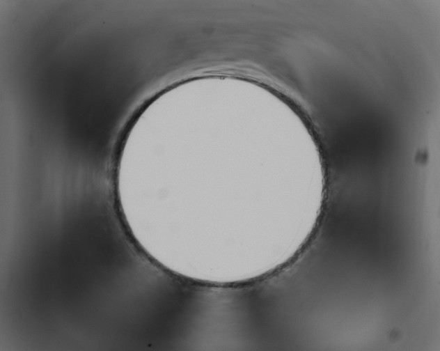 X0000103911506200809191106