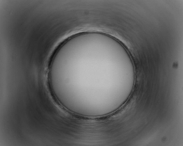 X0000103911507200809191107