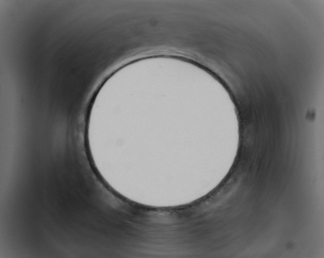 X0000103911508200809191107