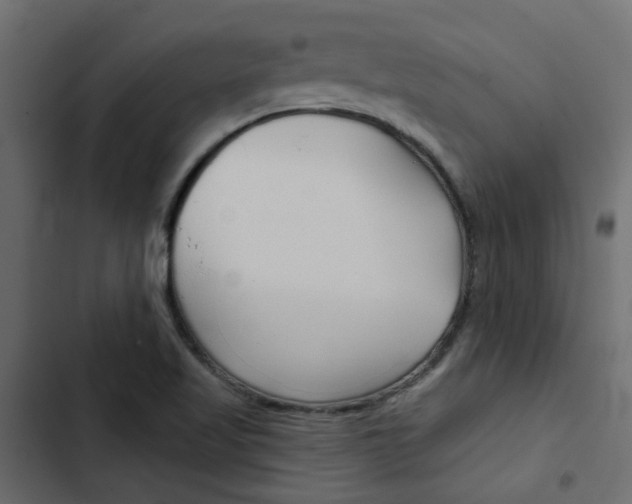 X0000103911509200809191107