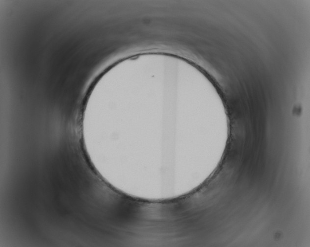 X0000103911510200809191107