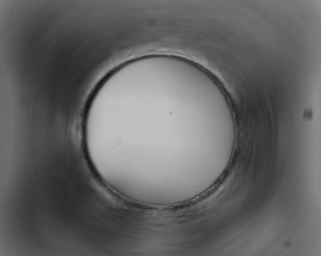 X0000103911511200809191107