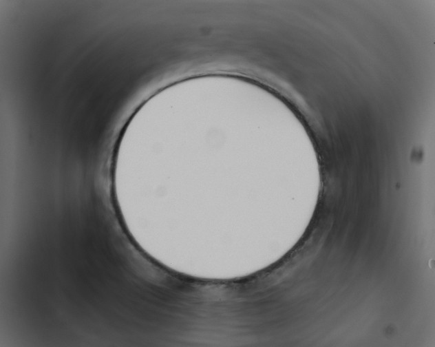 X0000103911512200809191107