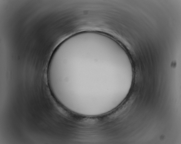 X0000103911513200809191107