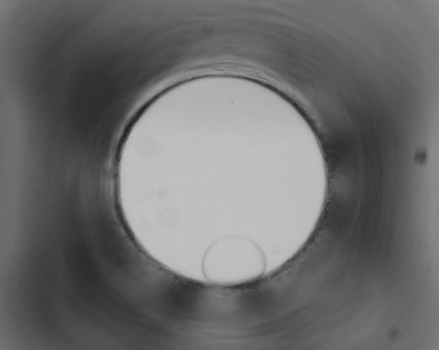X0000103911514200809191107