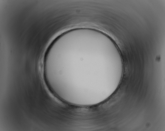 X0000103911515200809191107