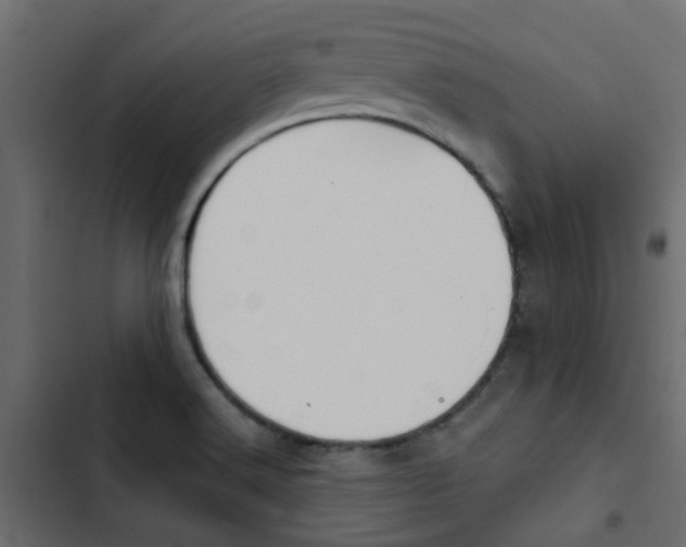 X0000103911516200809191107