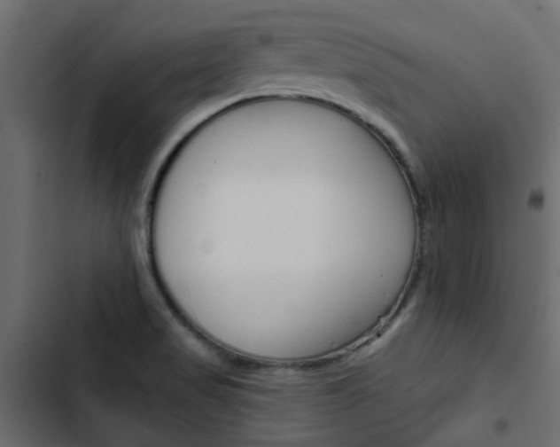 X0000103911517200809191107