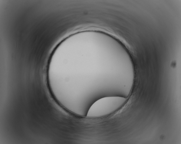 X0000103911518200809191107