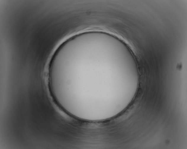 X0000103911519200809191107