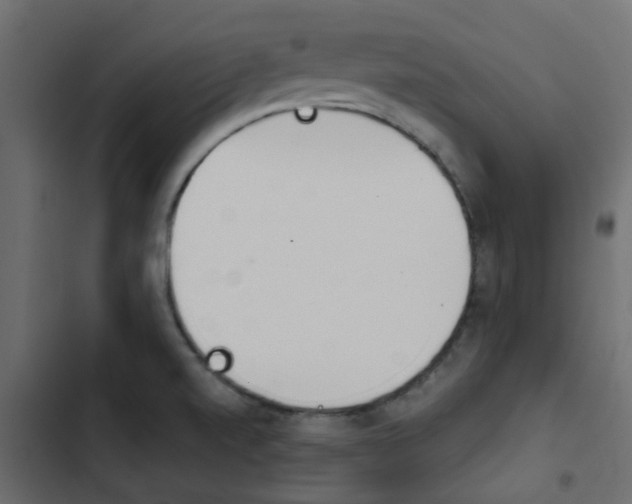 X0000103911520200809191107