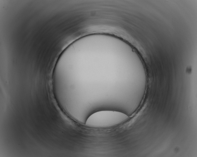 X0000103911521200809191107