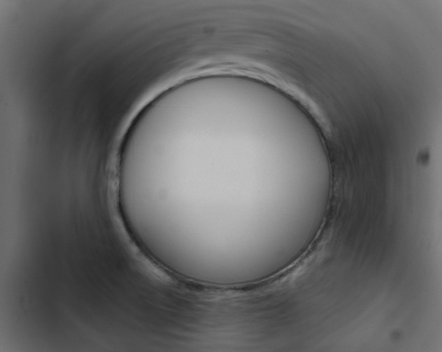 X0000103911522200809191107