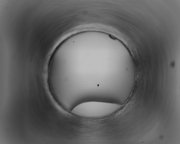 X0000103911523200809191107