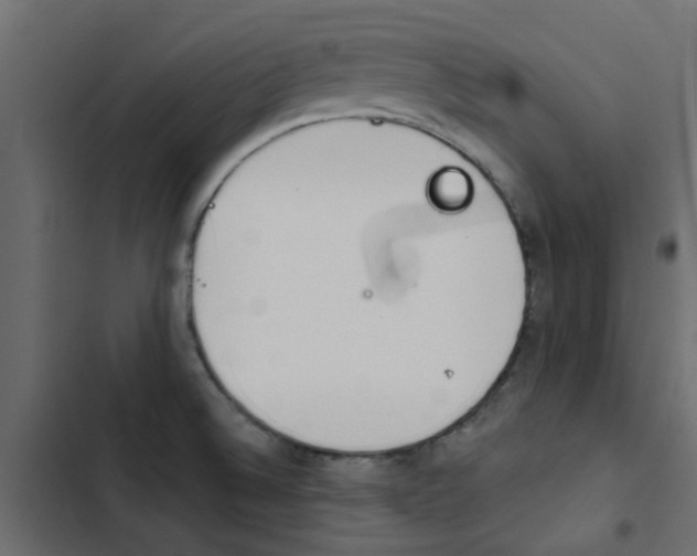 X0000103911524200809191107