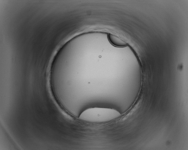 X0000103911525200809191107