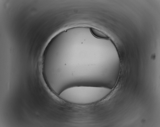 X0000103911526200809191107
