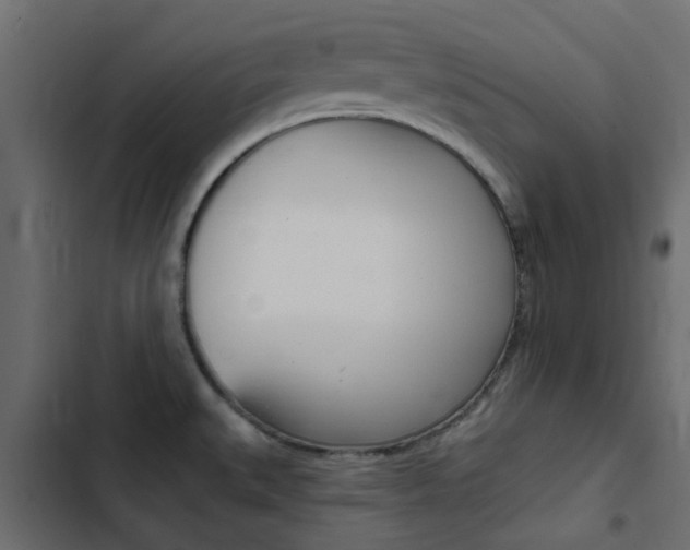 X0000103911527200809191107