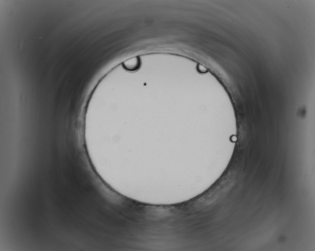X0000103911528200809191107