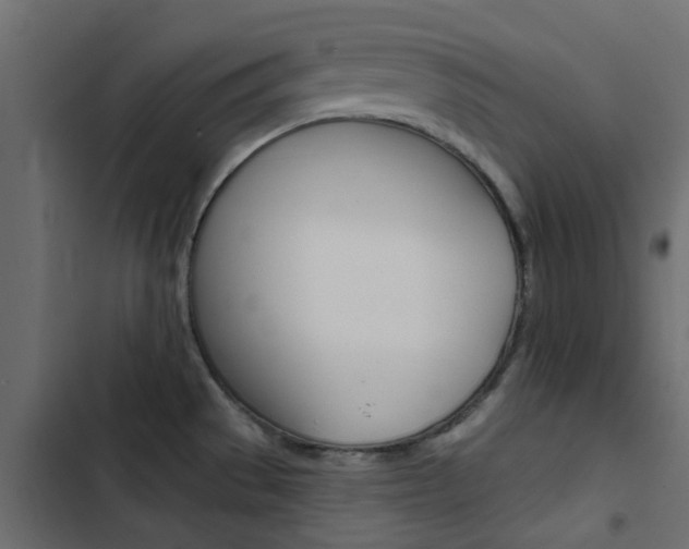 X0000103911529200809191107