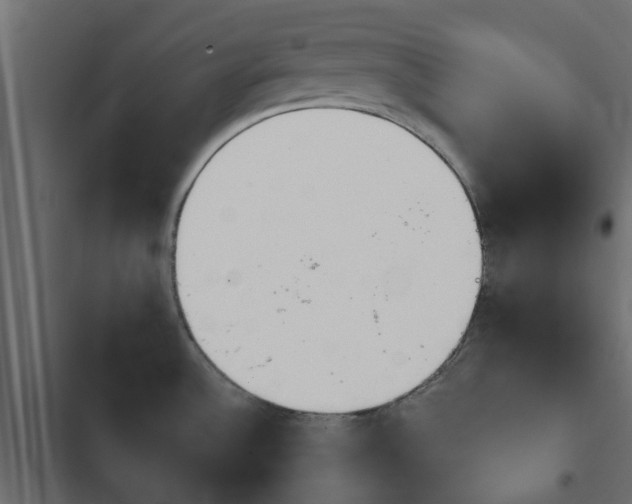 X0000103911532200809191107