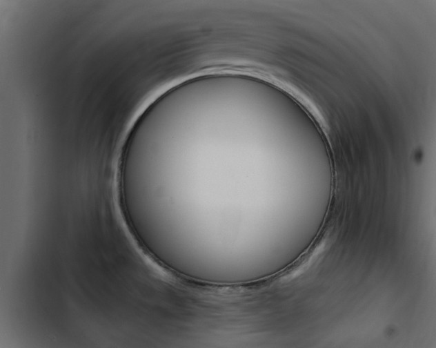 X0000103911533200809191107