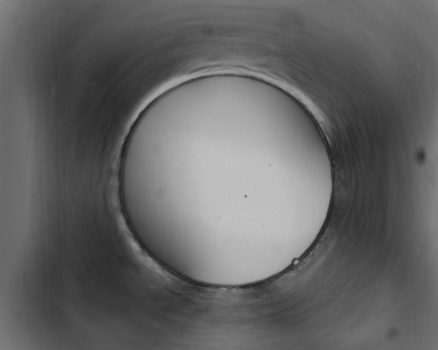 X0000103911534200809191107