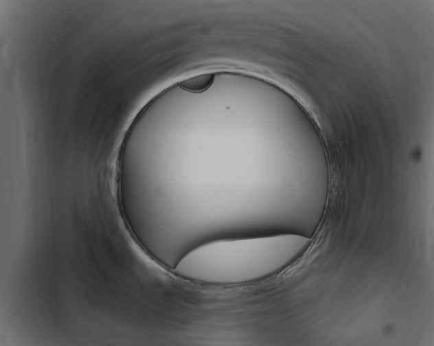 X0000103911535200809191107