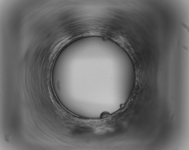 X0000103910001200809191313