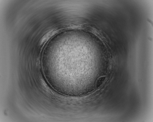 X0000103910002200809191313