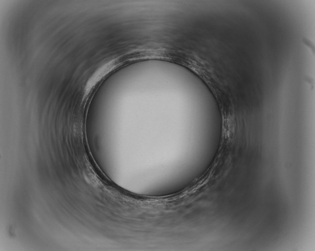 X0000103910004200809191313