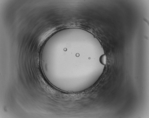 X0000103910005200809191313