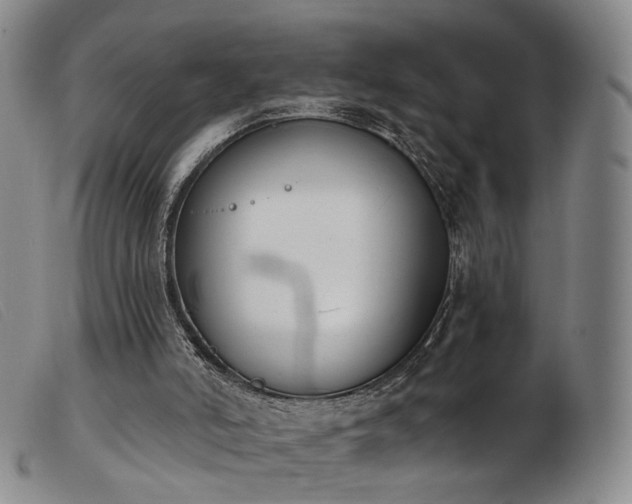 X0000103910006200809191313