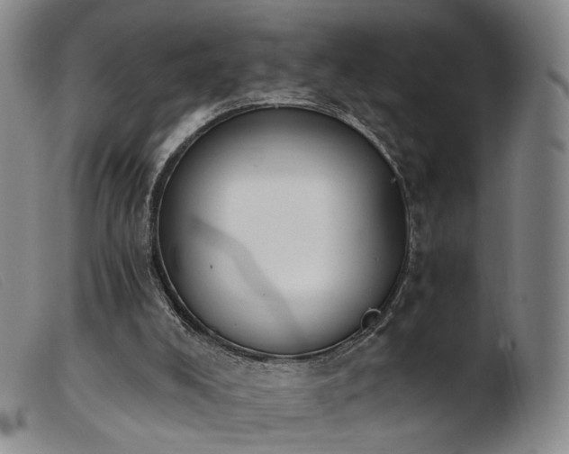 X0000103910008200809191313