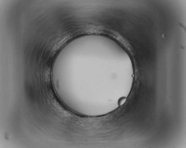 X0000103910009200809191313