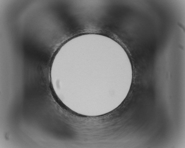 X0000103910011200809191313