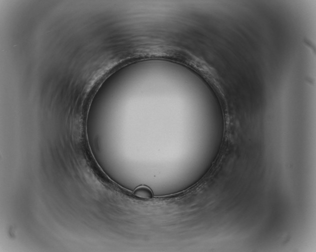 X0000103910012200809191313