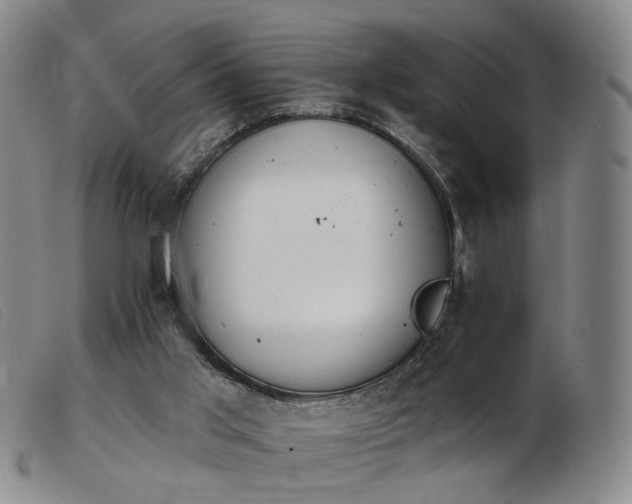 X0000103910013200809191313