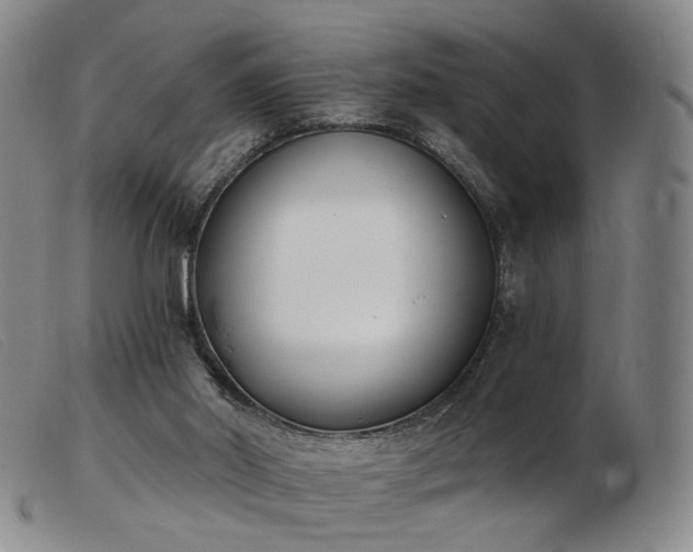 X0000103910014200809191313