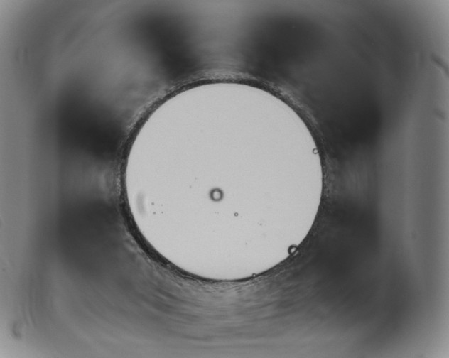 X0000103910015200809191313