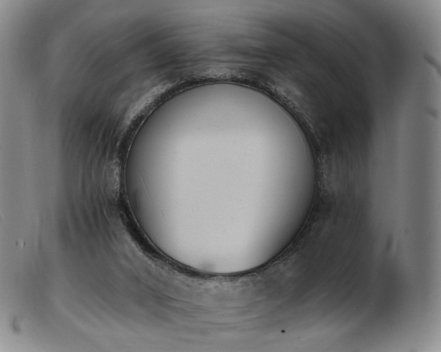 X0000103910016200809191313