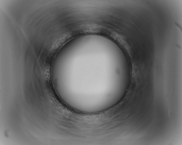 X0000103910017200809191313