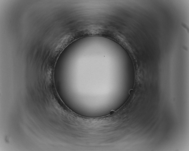 X0000103910018200809191313